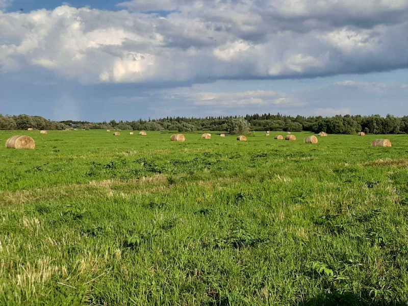 В Интинском районе активно ведется заготовка кормов на зиму

