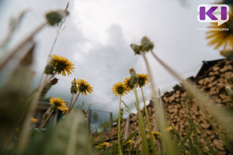 Июль-2025 в Коми оказался холоднее нормы на 5 градусов 