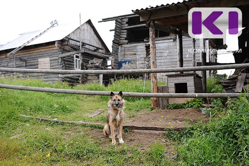 Что ты лаешь как собака: 70-летняя сыктывкарская пенсионерка оштрафована за оскорбление соседской дочери
