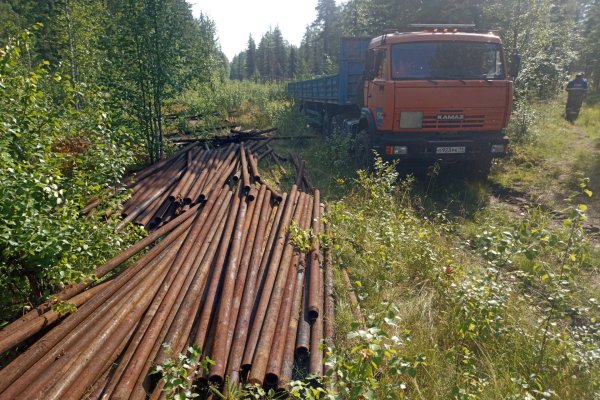 В Коми на первой в мире лосеферме благодаря неравнодушным людям начался ремонт загона