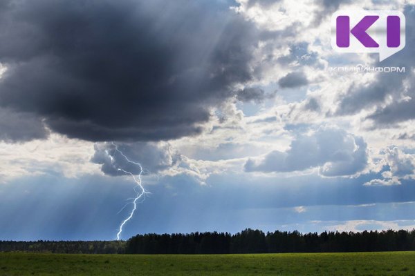 Погода в Коми 17 августа: местами дождь и гроза, +19...+24°С