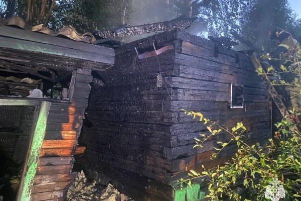 В сыктывкарском садоводческом товариществе 