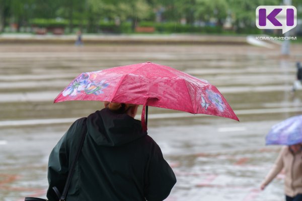 Погода в Коми 18 августа: дожди, +19°С