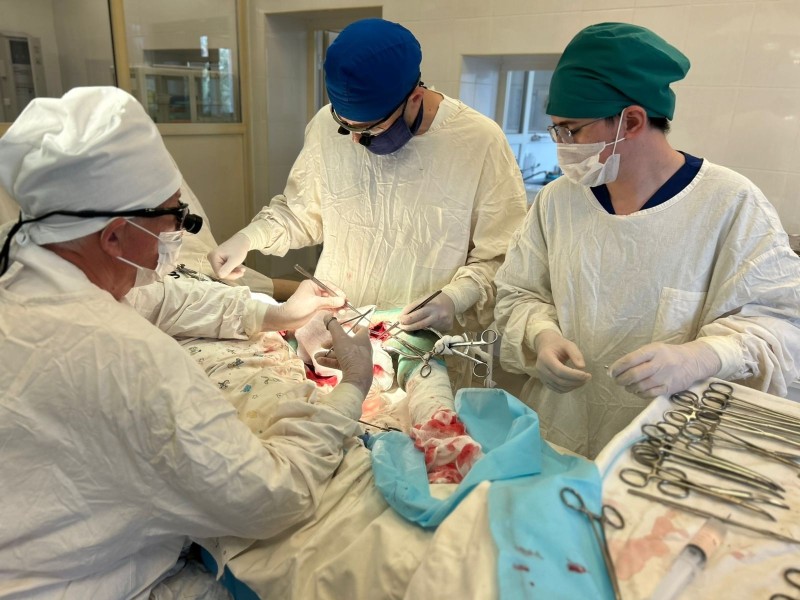 Воркутинские врачи освоили новые методы сосудистой хирургии с федеральным экспертом