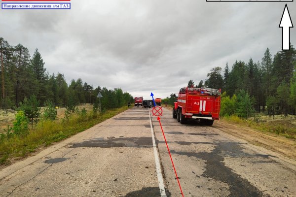 В Удорском районе опрокинулся УАЗ, пострадали 8 пассажиров