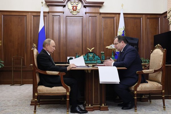 Ростислав Гольдштейн рассказал о проектах, которые представил президенту