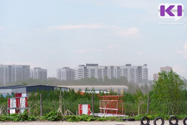 Погода в Коми 23 августа: на севере дождь, на юге преимущественно без осадков