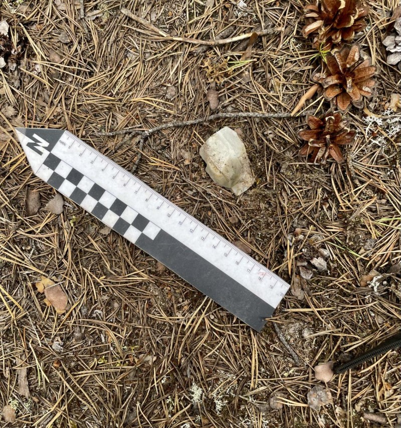 Ижма-Томский геоархеологический микрорайон открыл ученым датирующий материал о Коми