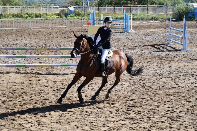 В Выльгорте стартовал Кубок Республики Коми по конкуру
