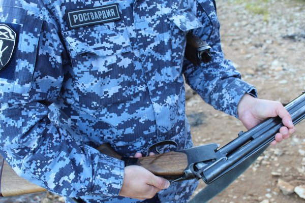 Жители Удорского района добровольно сдали в Росгвардию ружье и револьвер