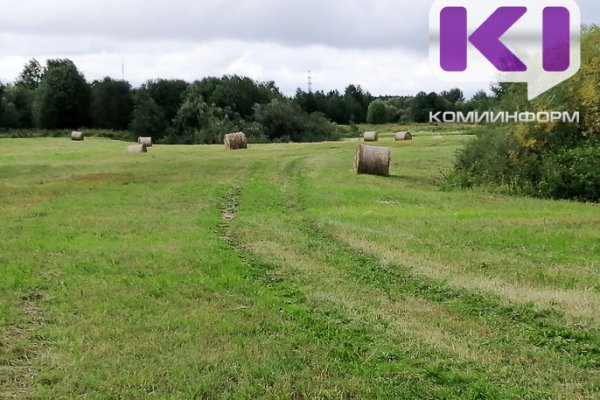 В Коми заготовка кормов приближается к плановым показателям