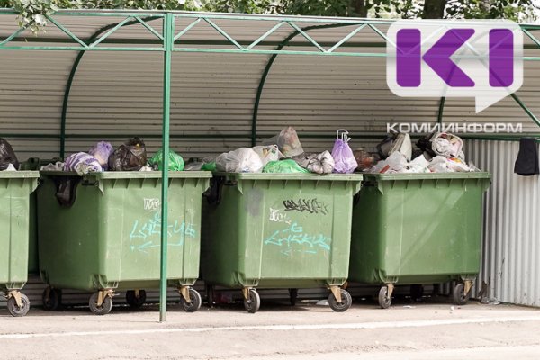 В Микуне не нашлось подрядчика для обустройства шести контейнерных площадок для накопления ТКО