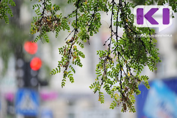 Погода в Коми 30 августа: небольшой дождь, +13...+18°С