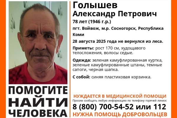Под Сосногорском ищут 78-летнего мужчину, который ушел в лес и не вернулся