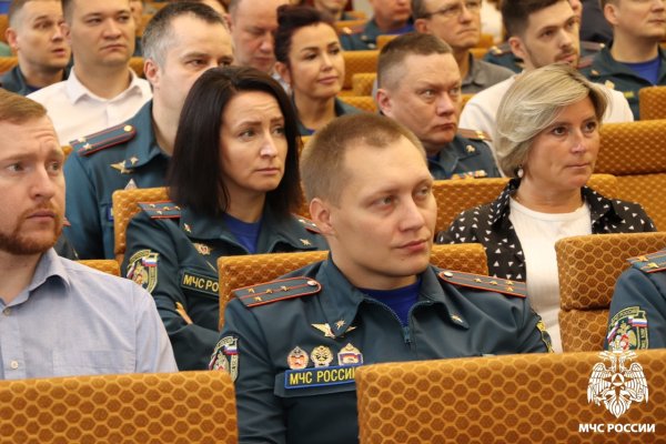 Избирком Коми рассказал сотрудникам МЧС о дистанционном электронном голосовании