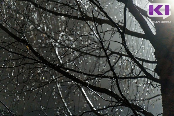 В Троицко-Печорске спасли замерзающих рыбаков 