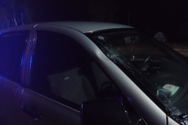 Ночью в Емве задавили 86-летнюю бабушку 