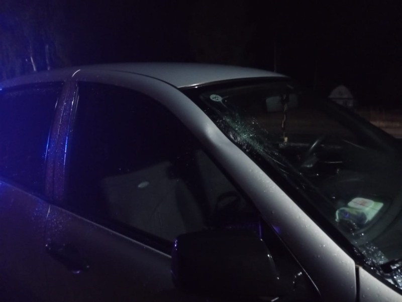 Ночью в Емве задавили 86-летнюю бабушку 