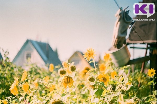 Погода в Коми 7 сентября: на севере небольшой дождь, +17...+22°С