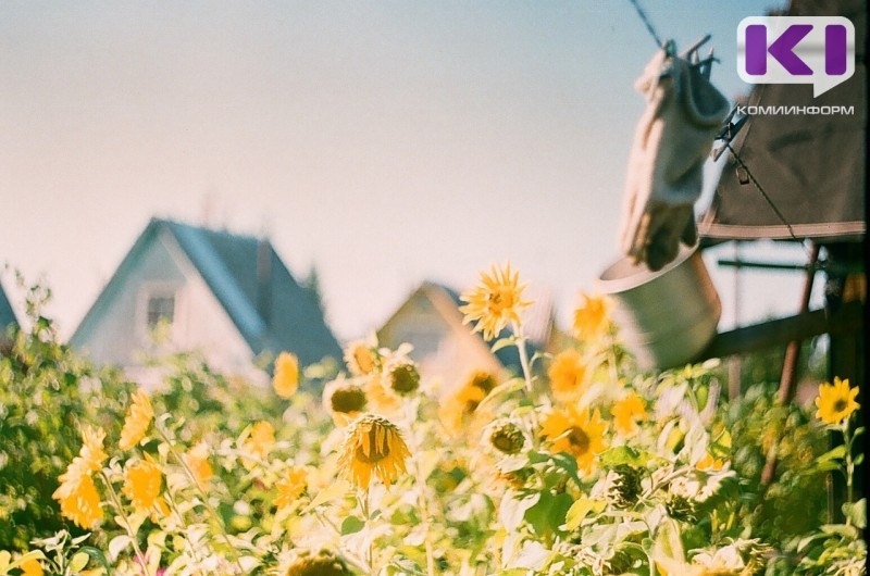 Погода в Коми 7 сентября: на севере небольшой дождь, +17...+22°С