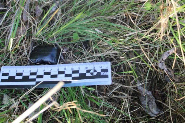 Сыктывкарская наркозакладчица предстанет перед судом