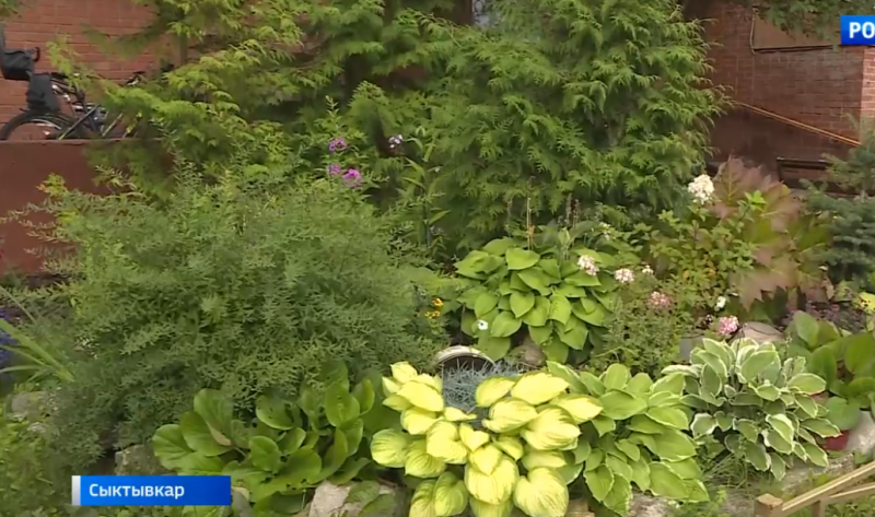 Сыктывкарцы превратили обычный двор в цветущий сад