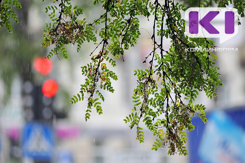 Погода в Коми 9 сентября: на востоке небольшой дождь, +14...+19°С