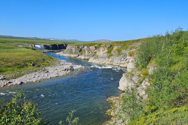 В воркутинском заказнике 