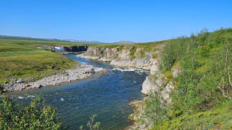В воркутинском заказнике "Каньон реки Ния-ю" сокращается число краснокнижных растений 
