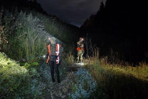 В Сыктывкаре нашли пропавшего 71-летнего дачника