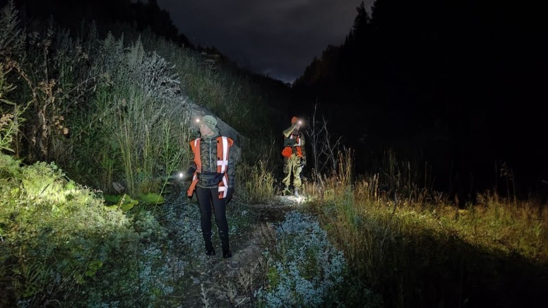 В Сыктывкаре нашли пропавшего 71-летнего дачника