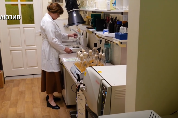 Ученые из Коми разработали уникальную биодобавку на основе кофейной шелухи