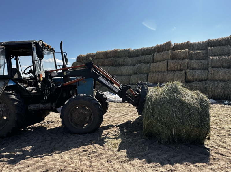 В Коми аграрии заготовили 89% кормов к зиме