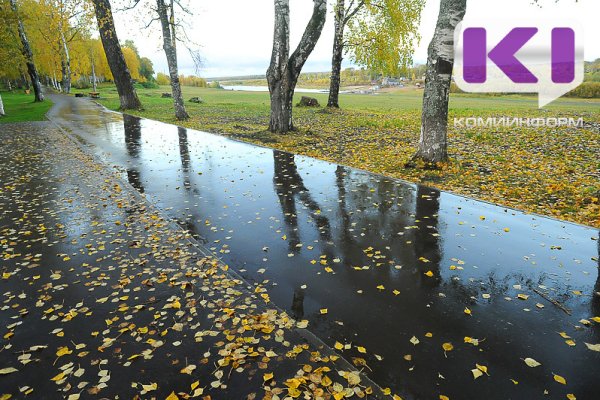 Погода в Коми 11 сентября: местами туман, в отдельных южных районах небольшой дождь