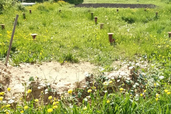 Для сохранения шести соток сыктывкарец расплатился с кредитором