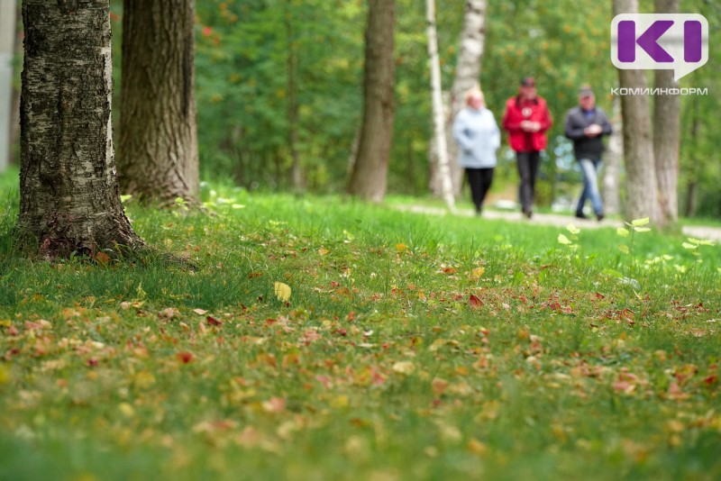 Погода в Коми 12 сентября: облачно, +15...+20°С