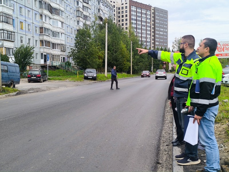 В Сыктывкаре на Тентюковской пересадят молодые деревья при обустройстве пешеходных пространств