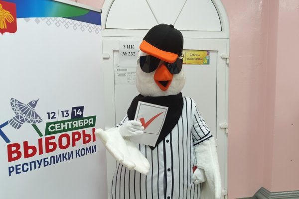 Прямиком из ЗАГСа, в национальной одежде, с домашними питомцами: как жители Коми голосовали в первый день выборов
