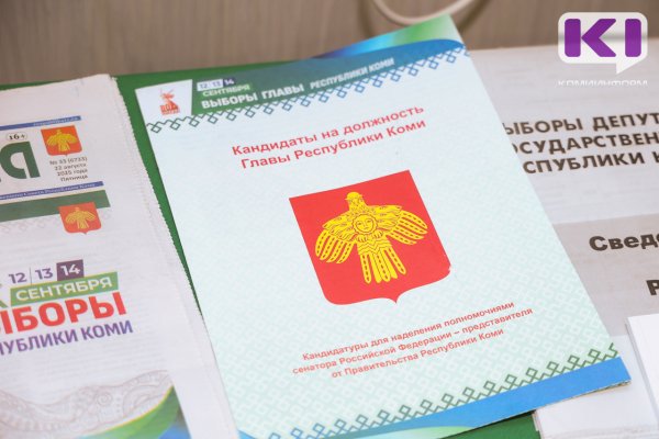 Ростислав Гольдштейн лидирует в голосовании на пост главы Коми