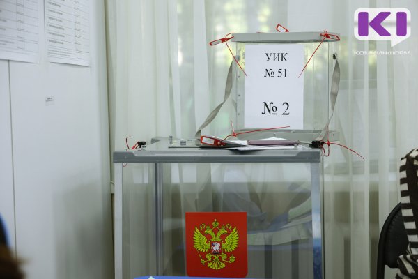 Обработано 20 % протоколов участковых комиссий, лидирует Ростислав Гольдштейн