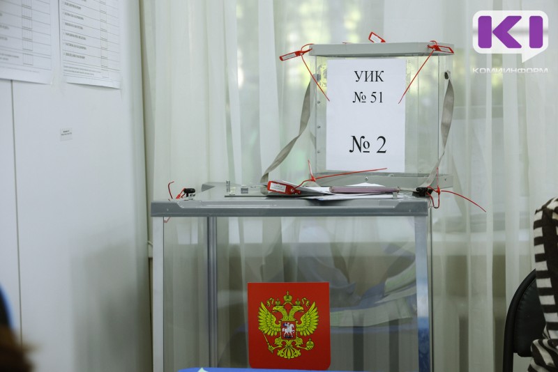 Обработано 20 % протоколов участковых комиссий, лидирует Ростислав Гольдштейн