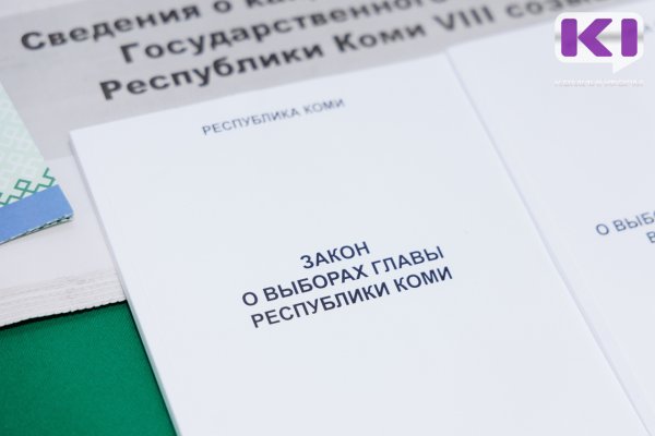 Обработан 91% протоколов УИК, Ростислав Гольдштейн набирает 71,6% голосов