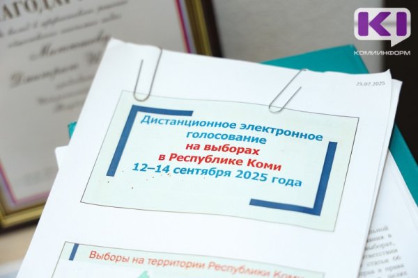 Председатель Избиркома Коми отметил влияние ДЭГ на явку в Коми