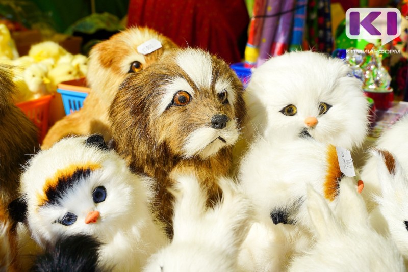 Сыктывкарка попала в ловушку интернет-мошенников при покупке щенка породы мальтипу

