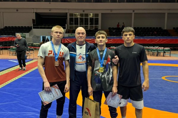 Вольники Коми завоевали две медали на 
