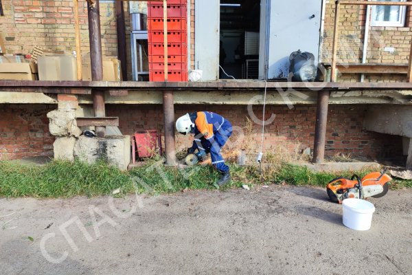 В Ухте спасли толстого бездомного щенка, который застрял в трубе 