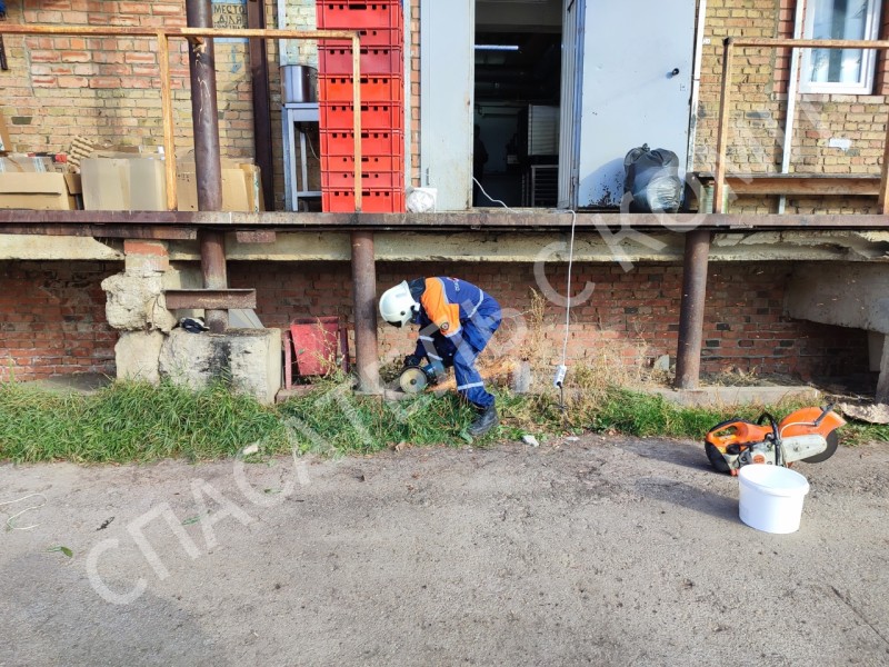 В Ухте спасли толстого бездомного щенка, который застрял в трубе 