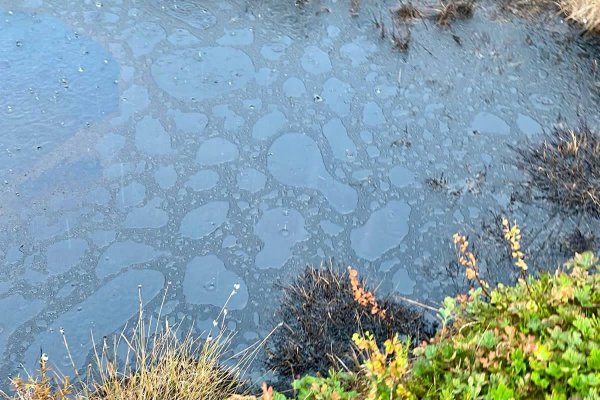 В Усинске завершено расследование уголовного дела по факту разлива нефтесодержащей жидкости

