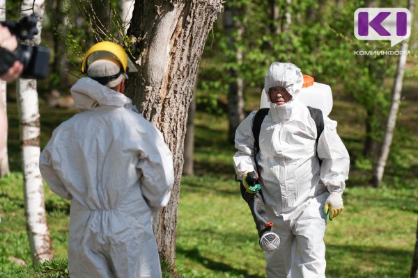 В Коми продолжают выявлять энцефалит 