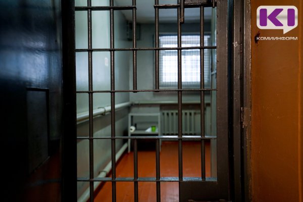 Кандидат в депутаты Госсовета Коми от КПРФ стала фигурантом уголовного дела